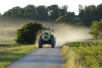 Baür on the way to harvest
