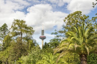 Palmengarten und Europaturm in Frankfurt am Main