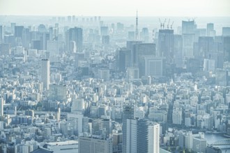 Building group in central Tokyo. Shooting Location: Chuo-ku, Tokyo