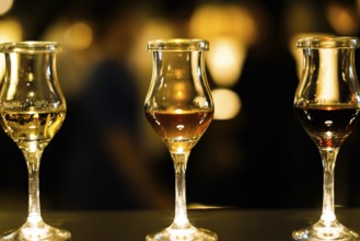 Stylish wine glass image of. Shooting Location: Tokyo metropolitan area