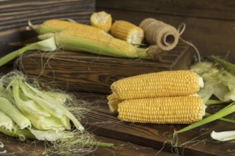 Fresh sweet corn on cobs on rustic wooden table, close up. Toned. Shallow depth of field