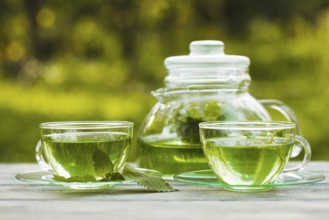 Herbal tea with melissa in a glass cup and teapot