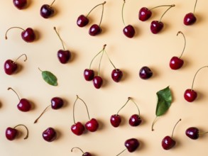 Fresh cherries scattered on yellow background. Creative fresh cherry pattern background with copy