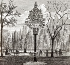Vogelhaus, Madison Square Park, New York City, Manhattan, 19. Jahrhundert