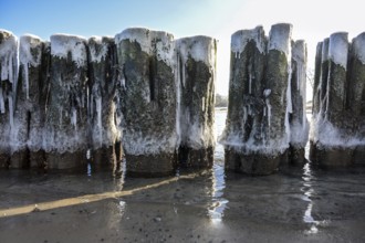 Iced groynes in early spring on the coast of the Baltic Sea in northern Germany, selected focus