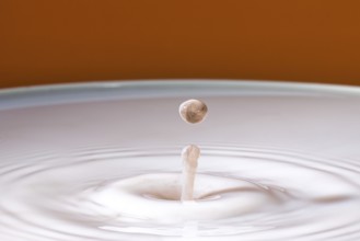 A gentle drop falls into milk and develops soft, concentric circles, water droplets, collision,
