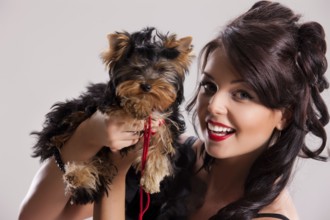 Young beautiful brunette woman in a black dress with a Yorkshire terrier, Novosibirsk, Russia,