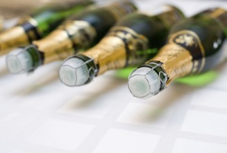 Some bottles of champagne lying on a tray