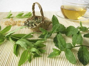 Tea with lemon verbena and Moroccan mint