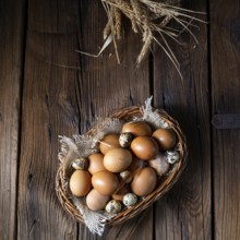 Fresh eggs straight from the farm in a basket