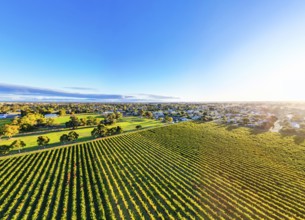 Autumn sunset around the rural country town of Penola in the Coonawarra wine region in South