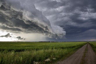 Prairie Storm Clouds Canada Saskatchewan Dramatic Summer