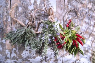 The flavors of the Mediterranean cuisine presentation of herbs