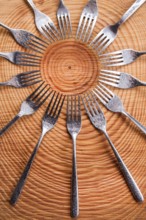 Series of different forks in a circle of pine board