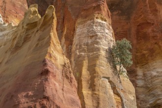 Luberon ocher near the village of Roussillon. Geological wonder in Provence