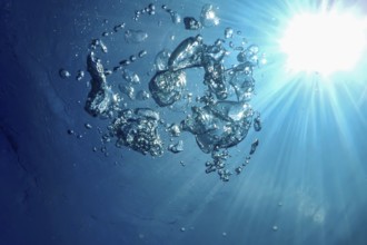 Underwater Bubbles Sunlight, Underwater background Bubbles Water Surface