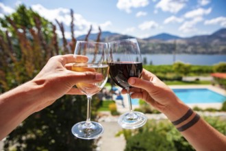 Okanagan Valley wine tasting tour, wineries visit during summer and spring vacations concept, man