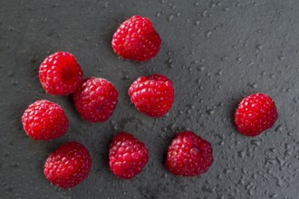 Berries raspberry on black background macro closeup with fresh water drops