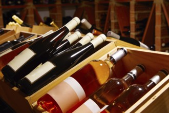 Wine Cellar from Mediterranean with bottles stacked in rows