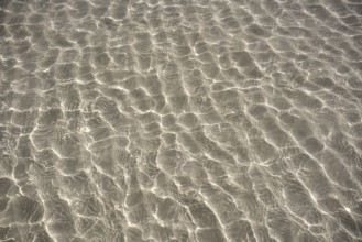 Caribbean transparent water beach reflections in shallow white sand bottom