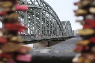 View over the Rhine with a bridge, love locks, blurred foreground, Cologne, Germany, Europe