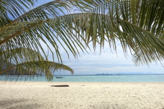 Palm leaves and white sand beach, tropical background