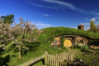 Hobbiton Movie Set of Shire in The Lord of the Rings and The Hobbit trilogies in Matamata, New