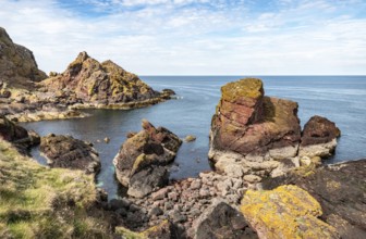 Rocky Shoreline, St Abbs Head, Scottish Borders, Scotland, United Kingdom, Europe
