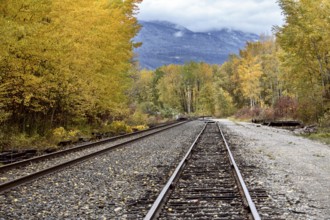 Golden British Columbia Kicking Horse Country Scenic