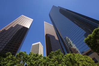 LA Los angeles downtown skyscrapers buildings viewed from below at California