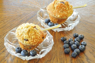 Blueberry muffins on a white plate with fresh berries, Blueberry muffins with blueberries