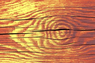 Wood texture with natural patterns as a background