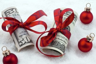 Dollar banknotes with ribbon as a gift of money, Austria, Europe