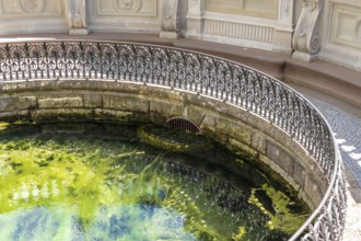An image of the Danube spring in Donaueschingen Germany