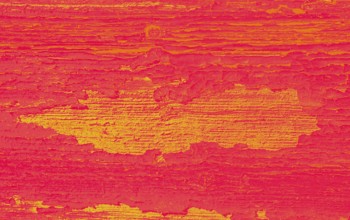 Wood texture with natural patterns as a background
