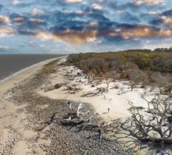 Driftwood Beach in Jekyll Island, Georgia. Aerial view on a spring day
