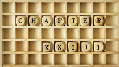 An image of a wooden game with the word chapter twenty three