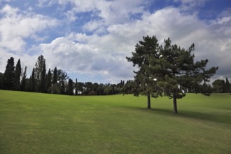 Lovely green grassy slope in a luxurious Italian park-garden Sigurta around Verona