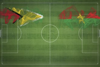 Guyana vs Burkina Faso Soccer Match, national colors, national flags, soccer field, football game,