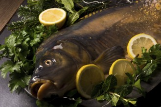 Fresh carp