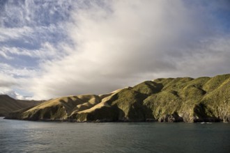 Ferry View Wellington New Zealand to South Island