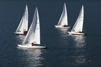 Sailing regatta on Lake Garda, Italy, South Tyrol, boats, sailing, water sports, Europe