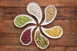 Variety of beans, lentils and pea in teardrop shaped bowls against rustic wood, top view