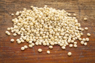 A pile of gluten free white sorghum grain on a grunge wood