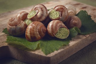 Grape snails stuffed in Burgundy, on a wooden board, French cuisine, no people