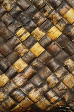 Old faded traditional birch bark weaving texture