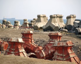 Large concrete tetrapods are placed on the sea shore