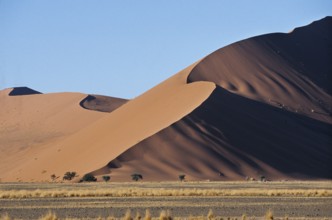 Desert evening