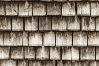 Old wooden planks surface background. shabby sepia texture