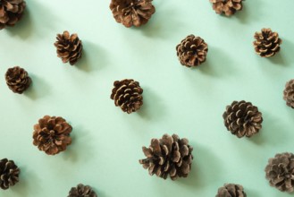 Pine cone pattern on mint green background. top view